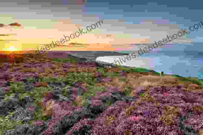 A Breathtaking Panoramic View Of The North York Moors, Showcasing Its Vast Expanse Of Heather Clad Hills And Rugged Coastline. Images Of Yorkshire Through Time