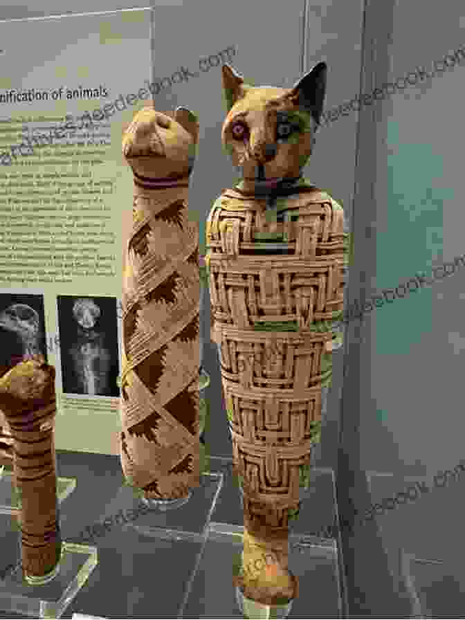 A Mummified Cat, Wrapped In Linen And Preserving The Feline's Form For Eternity. Nile Cat (The Nile Mysteries)