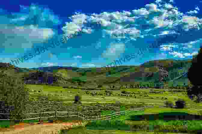 A Panoramic Photograph Showcasing The Rolling Hills And Vast Fields Of Montana's Agricultural Landscape, With Herds Of Cattle Grazing And Farmers Tending To Their Crops. Priests And Prospectors: A History Of Montana Volume Two (Montana History 2)