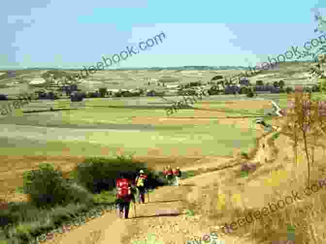 A Pilgrim Walking Through A Field Of Wildflowers On The Camino De Santiago The Way Of The Wind: Embracing Life While Walking The Camino De Santiago