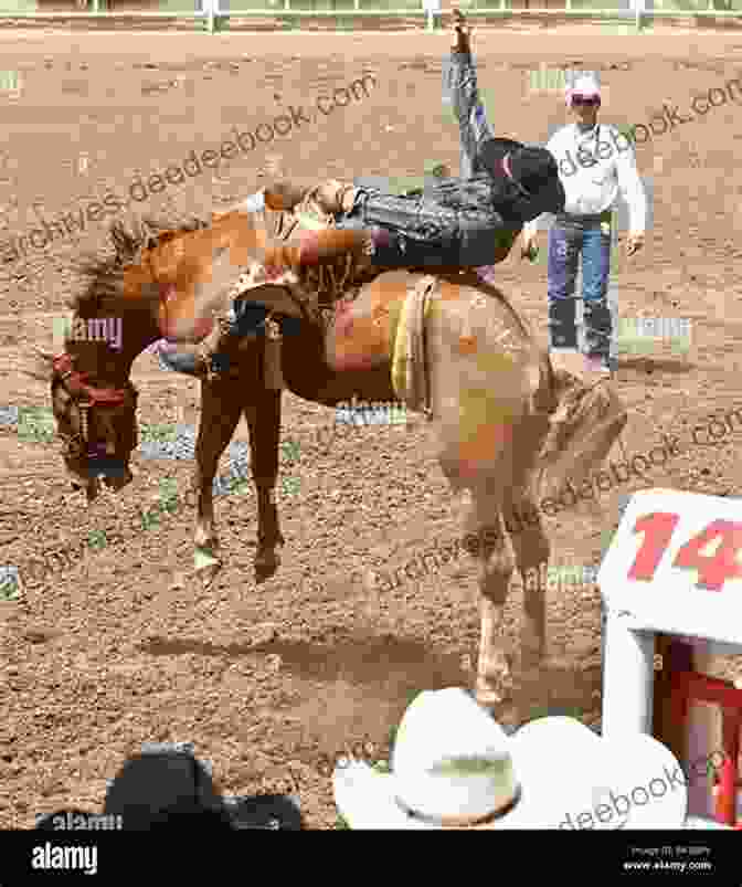 Abby Watches A Cowboy Riding A Bucking Bronco During The Rodeo At The Calgary Stampede. Abby Goes To The Calgary Stampede