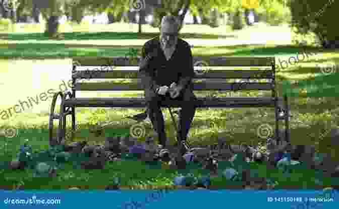 An Elderly Man Sitting On A Bench With A Cat On His Lap The Old Man And The Cat: A Love Story