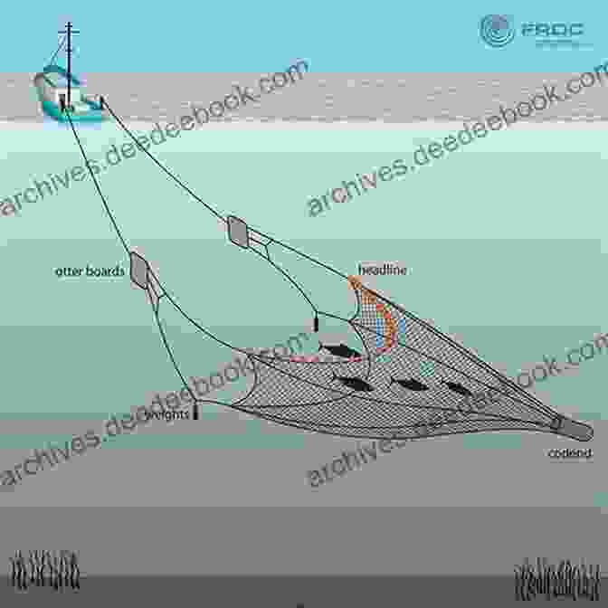 Comparison Of Different Net Sizes For Various Aquarium Tasks A Net For Small Fishes