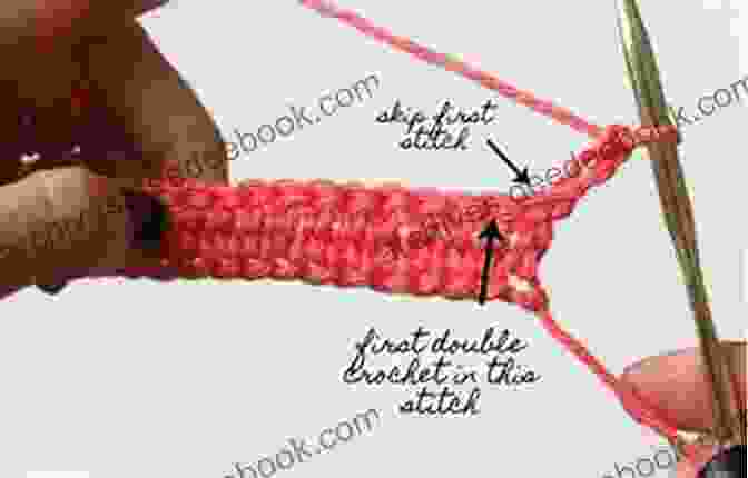 Double Crochet Stitch (2 Box Set) Learn How To Crochet Quick And Easy Crochet Stitches For Intermediates