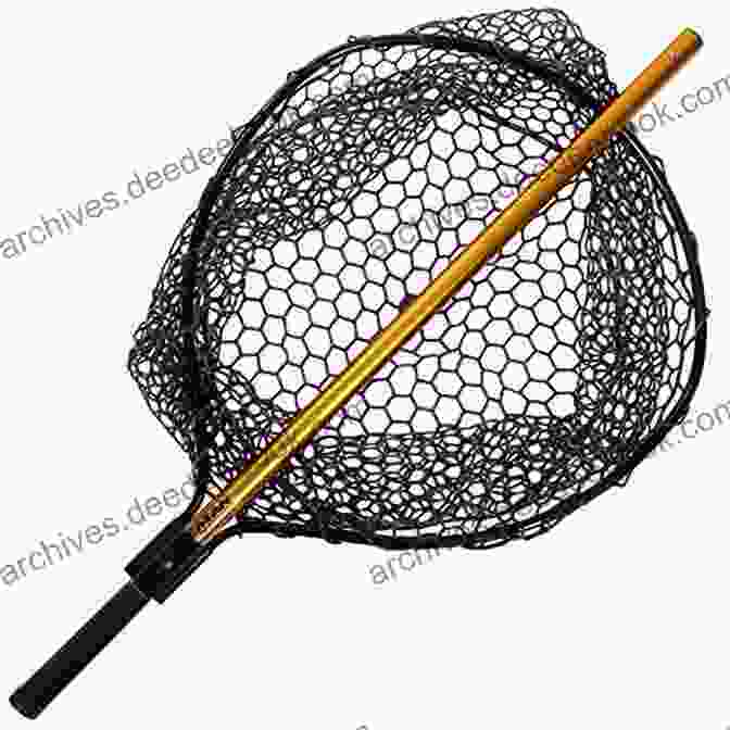 Ergonomic Handle Of A Fish Net With A Rubberized Grip A Net For Small Fishes