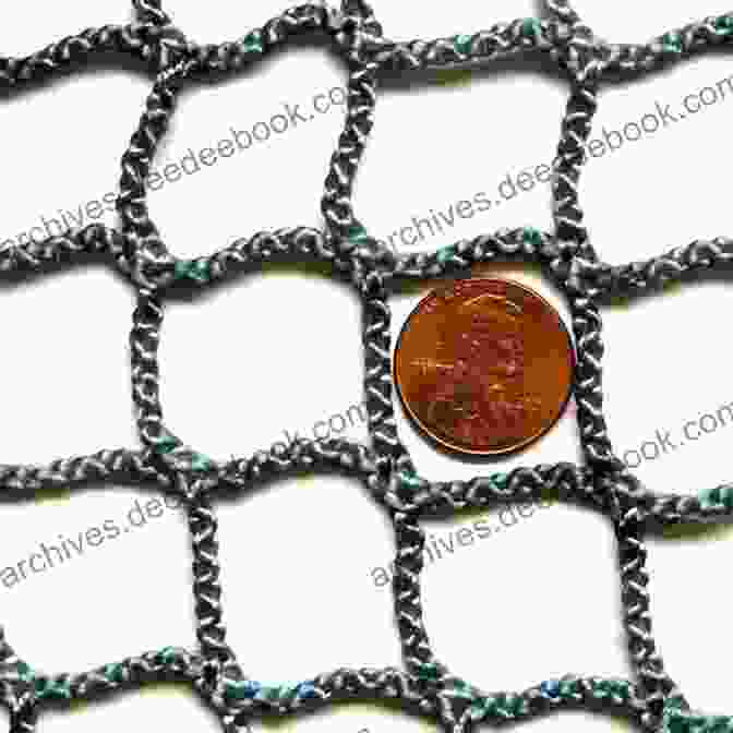 Nylon Net With Flexible Material And Round Frame A Net For Small Fishes