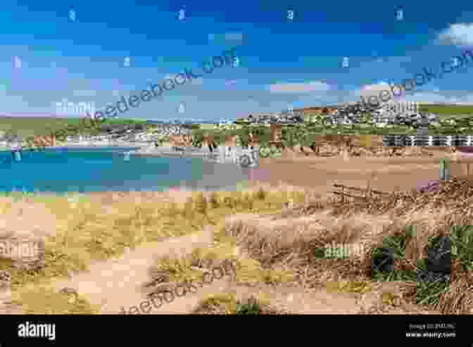 Panoramic View Of Challaborough Bay With Golden Sands And Turquoise Waters A Fine Getaway To Challaborough Bay: A Delightful Little Poem About A Young Family S First Summer Holiday Away