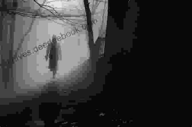 Scene 2: A Shadowy Figure Lurking In The Darkness, Their Intentions Shrouded In Secrecy. Noir: A Crimson Shadow Novel