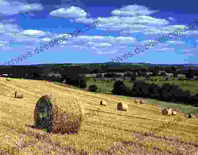 The Rolling Hills Of The French Countryside, A Source Of Inspiration For Many Writers Wanderings Wonderings: In France Spain Portugal