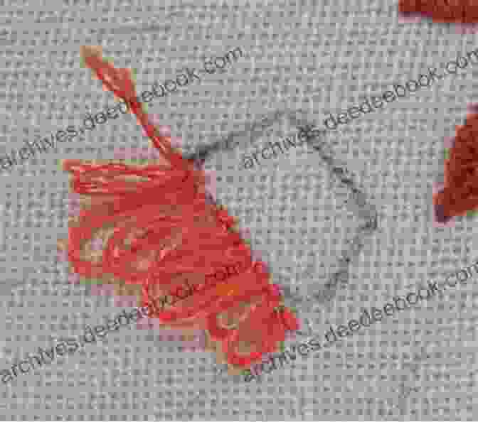 Turkey Stitch Embroidery Filling Jacobean Embroidery Illustrated Its Forms And Fillings Including Late Tudor (Annotated)