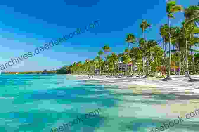 Turquoise Waters And Palm Trees At Cancun Beach In Mexico New Orleans Travel Guide: Where To Go What To Do