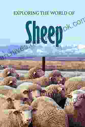 Exploring the World of Sheep: Educational Animals For Kids