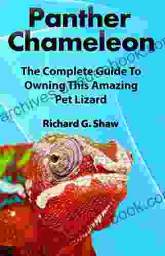 Panther Chameleon: The Complete Guide to Owning this Amazing Pet Lizard